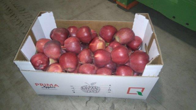 Prima 2000 pommes-poires-prunes fruits légumes 15