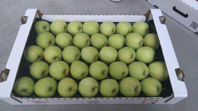 Prima 2000 pommes-poires-prunes fruits légumes 15