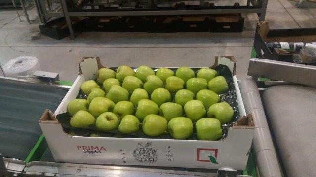 Prima 2000 pommes-poires-prunes fruits légumes 16