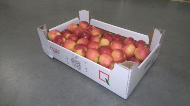 Prima 2000 pommes-poires-prunes fruits légumes 08