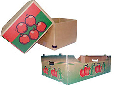 Prima 2000 pommes-poires-prunes fruits légumes 14