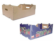 Prima 2000 pommes-poires-prunes fruits légumes 16